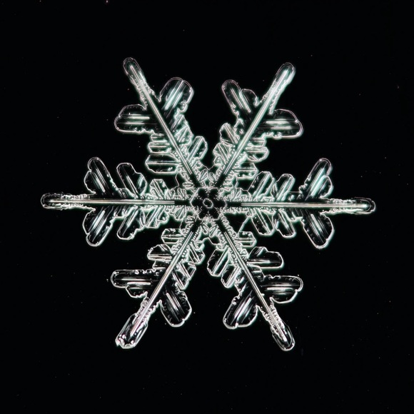 snowflake24680